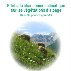 Effets du changement climatique sur les végétations d’alpages – Une nouvelle brochure Alpages Sentinelles est disponible !