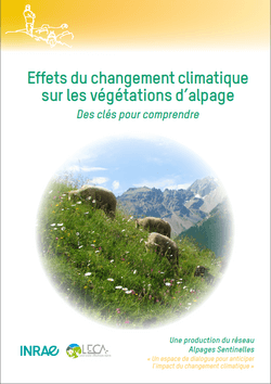 Effets du changement climatique sur les végétations d’alpages – Une nouvelle brochure Alpages Sentinelles est disponible !